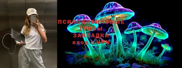 мяу мяу мука Аркадак