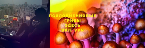круглые Арсеньев