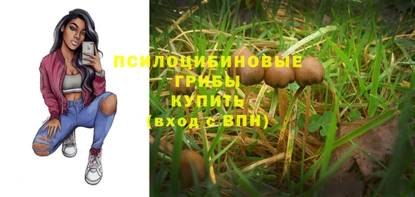 круглые Арсеньев