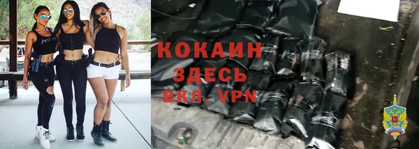 мяу мяу мука Аркадак