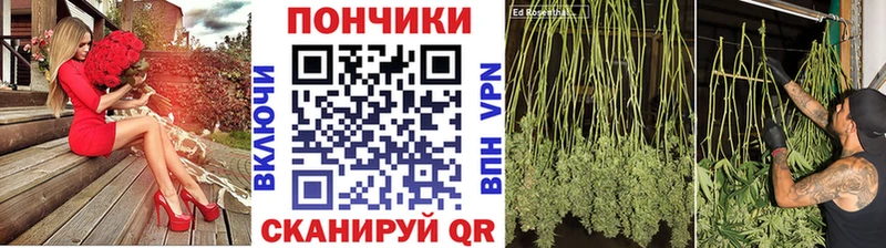 Марихуана Amnesia  где купить наркоту  Выборг 